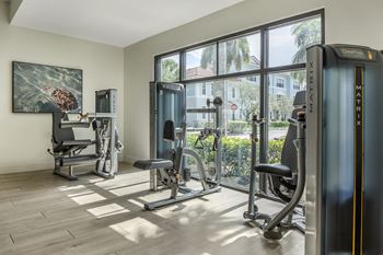 A gym with a treadmill, weights, and exercise equipment