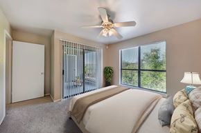Austin apartment for rent - Bedroom with a large bed at Great Hills, Texas