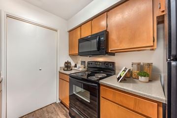 Austin apartment for rent - A kitchen with a black microwave above the stove.