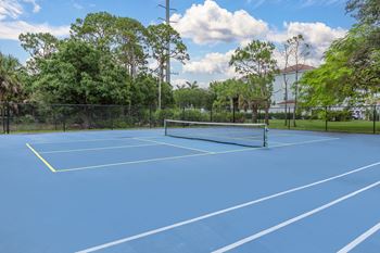 A tennis / pickleball court surrounded by trees