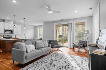 Minneapolis apartment for rent - A modern living room with a grey sofa and a patterned rug.