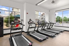 Greenville apartment for rent - A gym with treadmills and a view of the outside.