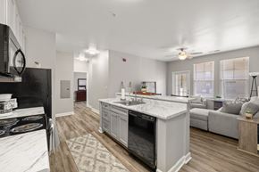Greenville apartment for rent - the preserve at ballantyne commons living room and kitchen
