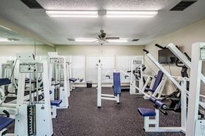Greenville apartment for rent - A well-equipped gym with various machines and weightlifting equipment.