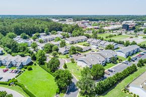 Greenville apartment for rent - A bird's eye view of a residential area with houses and greenery.
