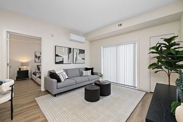 Edmonton apartment for rent - A living room with a grey couch and a white wall.
