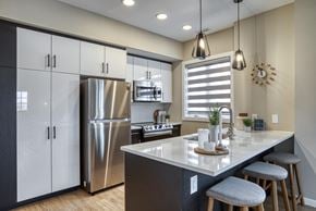 Winnipeg townhouse for rent - Interior - kitchen with stainless steel appliances