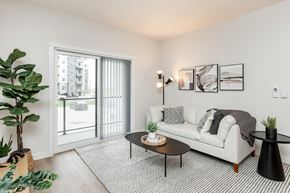 Winnipeg apartment for rent - A living room with a white sofa, a coffee table, and a potted plant.
