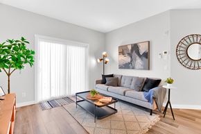 Calgary apartment for rent - A living room with a grey couch, a coffee table, and a plant.