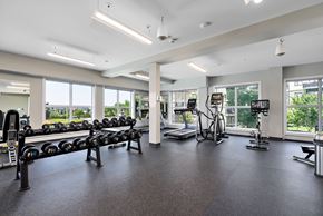 Edmonton apartment for rent - A gym with a variety of equipment including treadmills, weights, and exercise bikes.