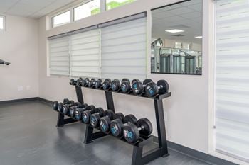Free weights