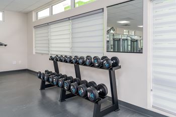 Free weights