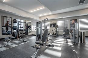 Calgary apartment for rent - A well-equipped gym with various exercise machines and a person working out.at Vibe Apartments at Arbour Lake, Calgary
