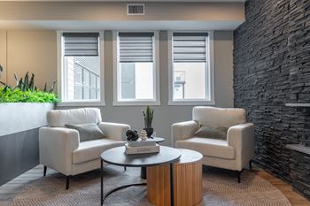 Living room sofa chairs
