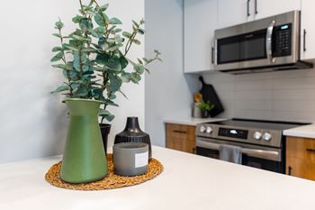 Quartz countertops