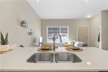 Quartz countertops