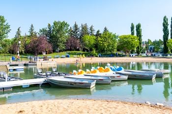 A group of boats