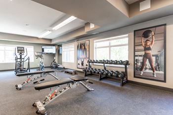 A gym with weight plates and bench press