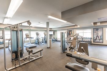 A gym with treadmills and weights,