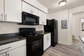 Regina apartment for rent - A black microwave is mounted above a black refrigerator in a kitchen.