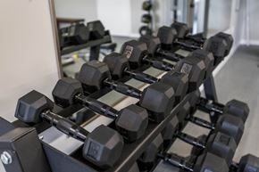 Regina apartment for rent - A set of dumbbells are arranged on a rack in a gym.