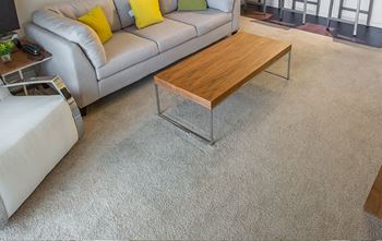 Carpeted floors