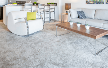 Carpeted floors