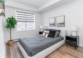 Calgary apartment for rent - A bedroom with a bed, nightstand, and a plant.at Vibe Apartments at Arbour Lake, Calgary Alberta