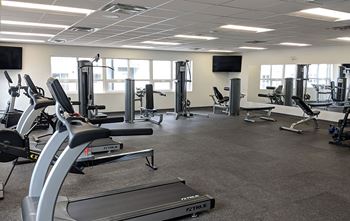 Commercial-grade fitness centre