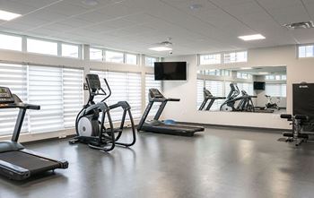 Commercial-grade fitness centre
