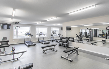 Commercial-grade fitness centre