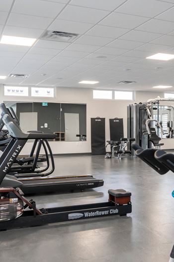 A gym with treadmills and exercise equipment.