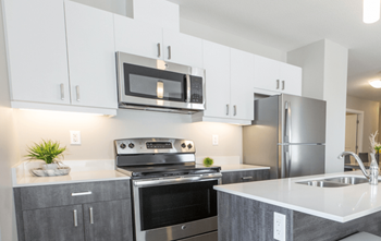 High-gloss cabinets