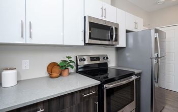 Stainless steel appliances