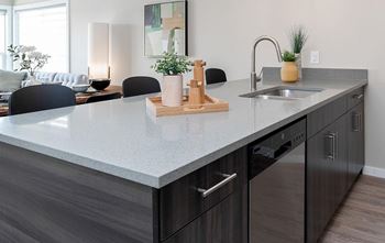 Quartz countertops