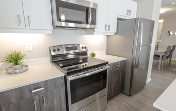 Stainless steel appliances