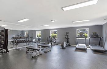 A spacious gym with a variety of equipment including treadmills, weights, and benches.