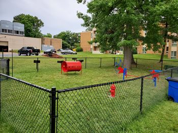 A dog park