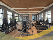 Fort Myers apartment for rent - a gym with cardio equipment and windows in a building