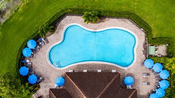 Large blue swimming pool