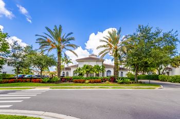 Large white house with a palm tree in front