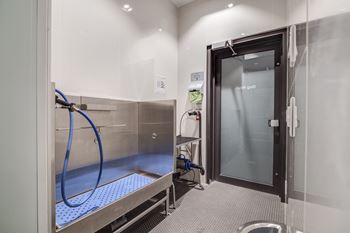 Dog wash