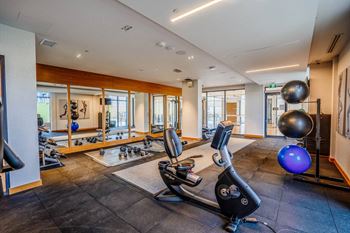 Fully equipped cardio and weight gym (phase i & ii)