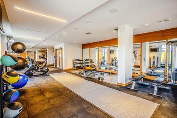 Fully equipped cardio and weight gym (phase i & ii)