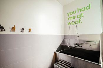 Pet friendly with pet wash (phase i & ii)