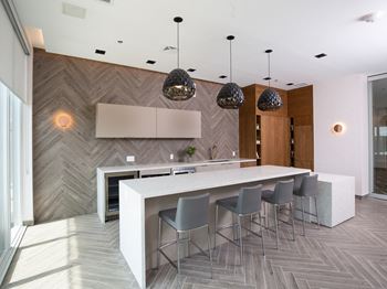 Large chef-style kitchen