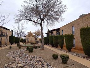 Sierra Vista apartment for rent - A tree in a courtyard surrounded by bushes and rocks.