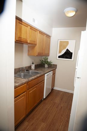 Newport News apartment for rent - a small kitchen with a sink and wooden cabinets