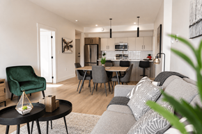 Dieppe apartment for rent - A modern living room with a green armchair and a grey sofa.