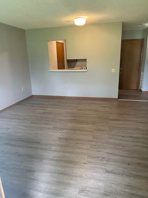 Stonefort apartment for rent - A room with wooden flooring and a mirror on the wall.